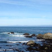 James Wallace Facebook A Red Red Rose