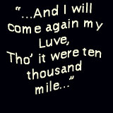 Beauty lyrics James Wallace