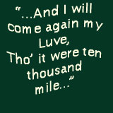 Red Red Rose lyrics James Wallace